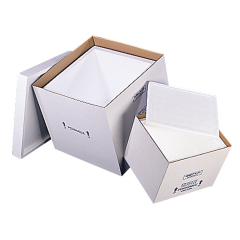 Dry Ice Foam Containers