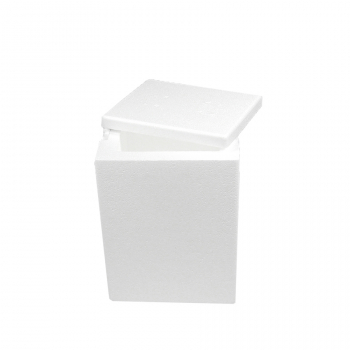  8 x 6 x 9&quot; ID, 209/T18F Foam ONLY