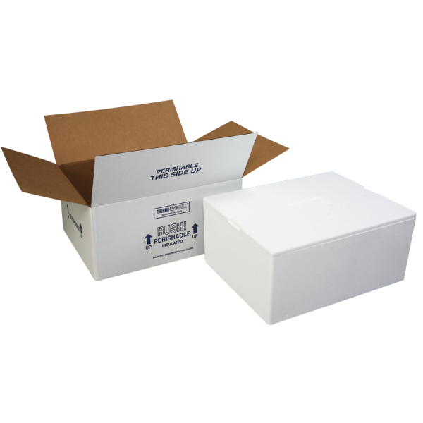 26 x 19.75 x 10.5" ID, 271/J47C Foam in Carton