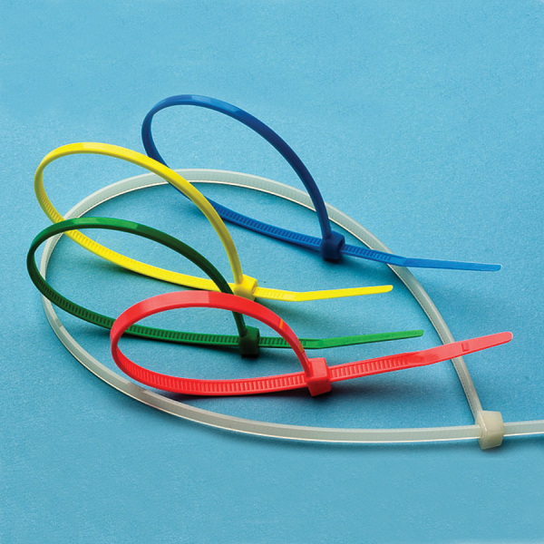 Nylon Cable Ties 6 x .10