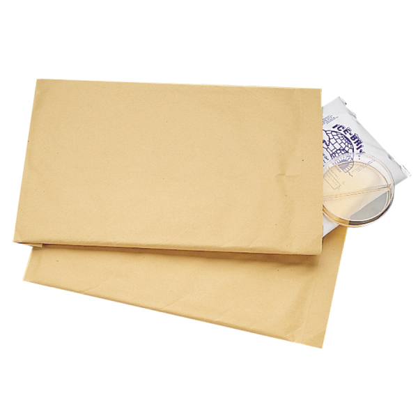 Padded Mailers 7.25 x 12