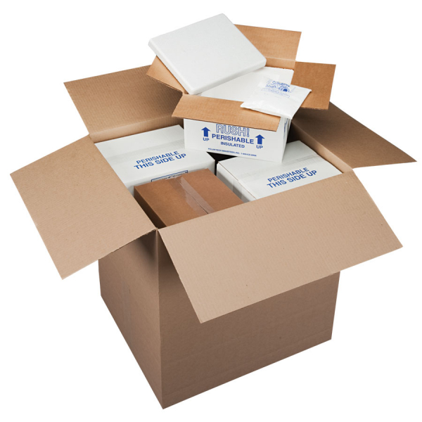Standard Insulated Foam Containers, Item No. 205/T14KIT Foam and Carton